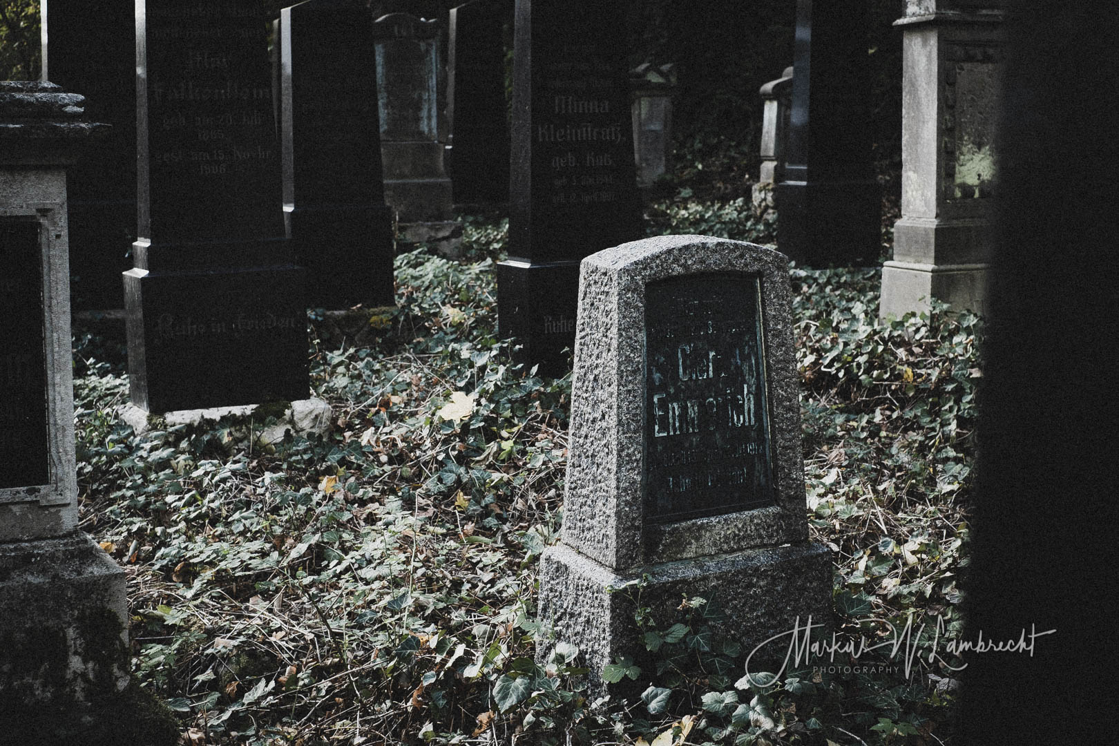 Steinheim (Westfalen), Jüdischer Friedhof